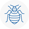 Bed Bug Extermination In Ramsbottom